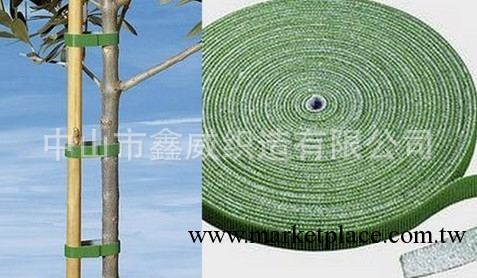 廠傢專業生產植物整形用背靠背魔術貼束帶批發・進口・工廠・代買・代購