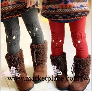 女童內搭褲2013秋冬女童裝新款批發 加厚加絨小熊補丁內搭褲子工廠,批發,進口,代購