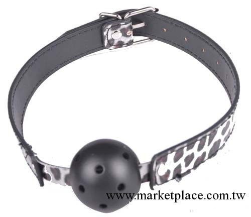 廠傢直銷 情趣用品 口塞 另類玩具工廠,批發,進口,代購