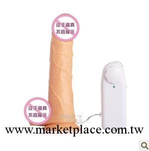 女用自慰器具情趣仿真陽具大中小吸盤搖擺震動男根倒模女情趣用品工廠,批發,進口,代購