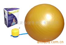 供應健身器材，女子健身球，體操球，健身房設備 練腰背 脊椎工廠,批發,進口,代購