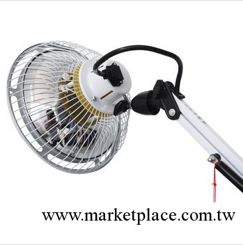 國仁特定電磁波治療機L-I-8A立式大頭 TDP神燈 數字調溫 可升降工廠,批發,進口,代購