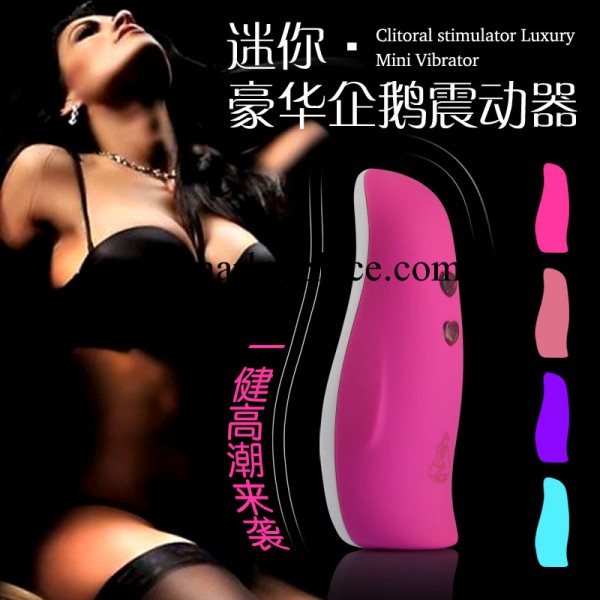 新品推薦 企鵝陰蒂震動器 女性情趣情趣用品 G點刺激女性成人用品工廠,批發,進口,代購