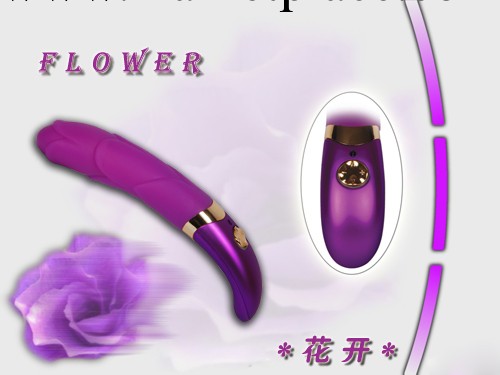 愛世界成人用品 矽膠女性震動棒 CT09006-花開情趣用品 女用器具工廠,批發,進口,代購