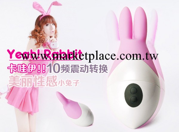 女用自慰按摩  震動雙耳兔子跳蛋  高檔成人情趣用品工廠,批發,進口,代購