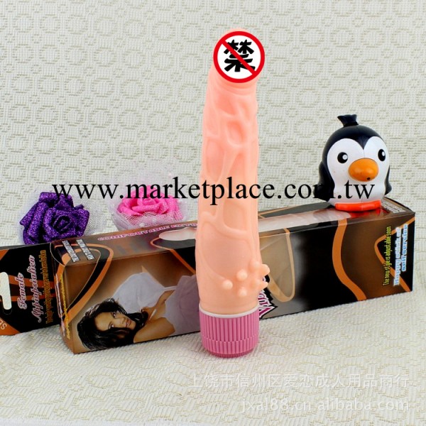成人女情趣用品網店批發代發貨 男根倒模自慰器B-05仿真震動陽具工廠,批發,進口,代購