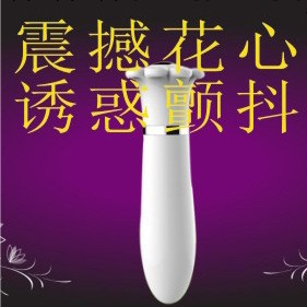 情趣用品/成人用品/性玩具/振動棒/按摩器/性保健 花工廠,批發,進口,代購