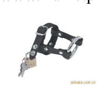 供應成人情趣G011帶鎖陽具環 成人情趣玩具工廠,批發,進口,代購
