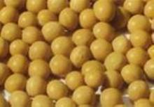 大豆提取物 大豆異黃酮 Soybean Extract  含量高 價位低批發・進口・工廠・代買・代購