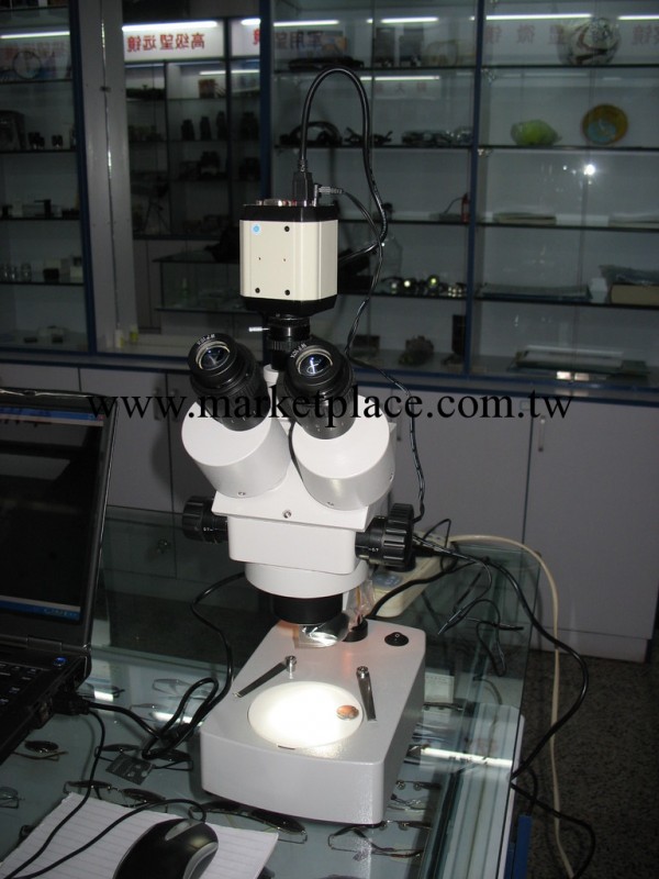 STL型-體視顯微鏡工廠,批發,進口,代購