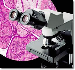奧林巴斯顯微鏡CX31 顯微鏡銷售 臨床級顯微鏡工廠,批發,進口,代購