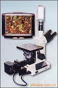 供應4XC-TV金相顯微鏡工廠,批發,進口,代購