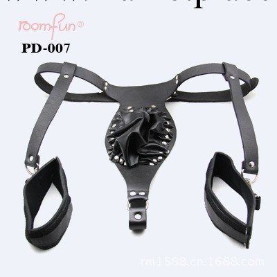 成人用品 男用貞操褲 情趣用品 Roomfun/房趣工廠,批發,進口,代購
