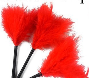 探春調情羽毛 成人情趣用品 身心酥癢 另類玩具夫妻調情必備工廠,批發,進口,代購