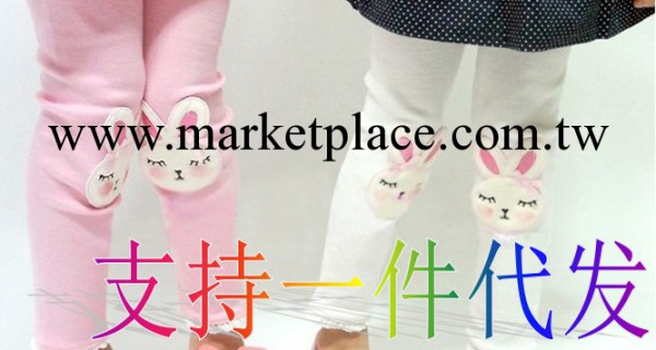 廠傢批發秋冬款新款全棉加絨羞羞兔內搭褲女童童褲1004工廠,批發,進口,代購