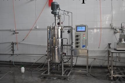 供應優質 自控 高效 節能 進口配件生產的機械攪拌發酵罐工廠,批發,進口,代購