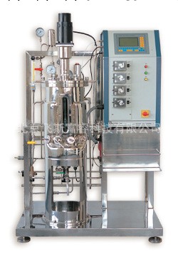 機械攪拌不銹鋼發酵罐 飛斯富睿 F152424工廠,批發,進口,代購