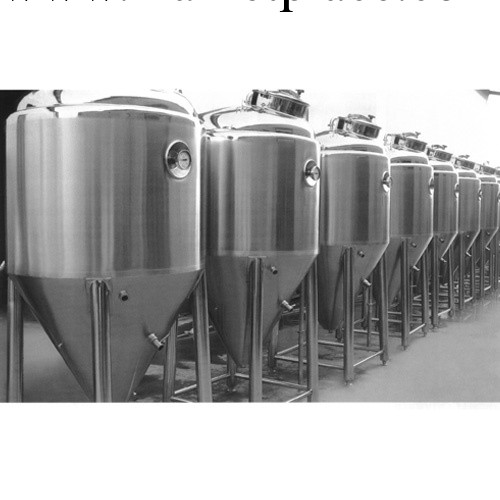 廣西食品機械設備不銹鋼發酵罐 菌種罐 儲蓄罐工廠,批發,進口,代購
