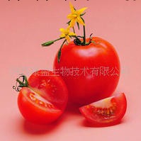 生產許可證廠傢 天然發酵番茄紅素3%，5%，10%，20%，95%HPLC%工廠,批發,進口,代購