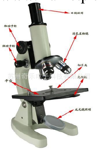 XSP-02-640x 640倍中小學教學生物顯微鏡工廠,批發,進口,代購