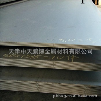 供應304不銹鋼板 熱軋優質304L不銹鋼板 不銹鋼平板工廠,批發,進口,代購