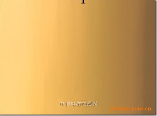 【歡迎來電洽談】201香檳金不銹鋼彩色板 裝飾不銹鋼板工廠,批發,進口,代購