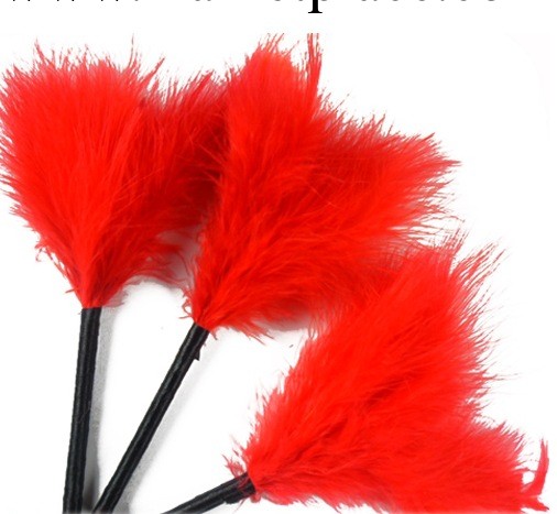 成人性保健夫妻情趣用品大學生情侶女性調情羽毛肌膚乳房挑逗批發工廠,批發,進口,代購