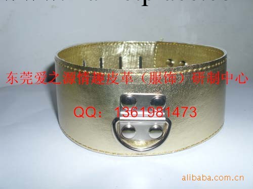 供應成人情趣金色頸圈、酒店情趣用品工廠,批發,進口,代購