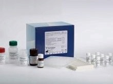 人前列腺素E1(PGE1)Elisa試劑盒批發・進口・工廠・代買・代購