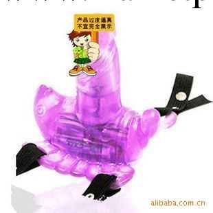 外貿出口 遙控蝴蝶震動器 7段震顫靜音女用捆綁自慰器具成人用品工廠,批發,進口,代購