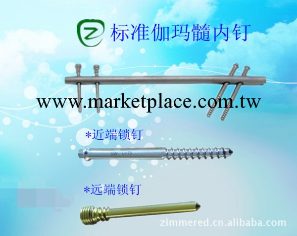 骨科耗材-標準伽瑪髓內釘工廠,批發,進口,代購