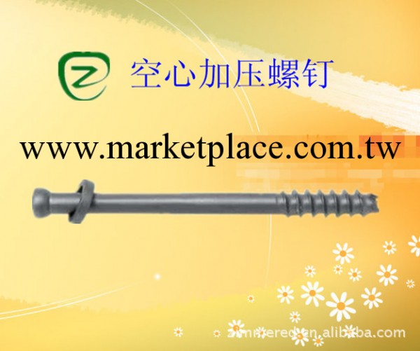 骨科內植入物-空心加壓螺釘工廠,批發,進口,代購