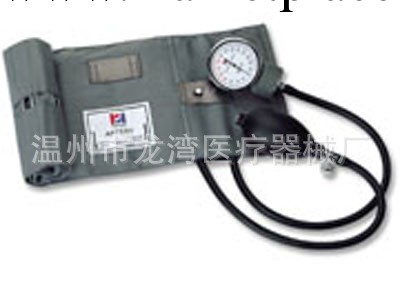 廠傢直銷醫療器械 鐵片臂帶血壓表工廠,批發,進口,代購