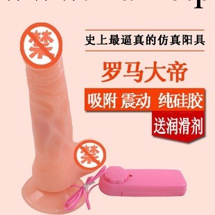 羅馬大帝女用自慰仿真陽具假雞巴吸附搖擺震動男根女性成人情趣用品工廠,批發,進口,代購