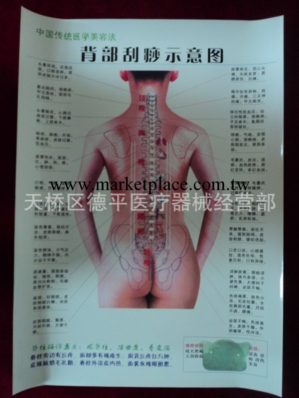 大量供應 人體 經絡 穴位 刮痧示意圖 經絡示意圖工廠,批發,進口,代購