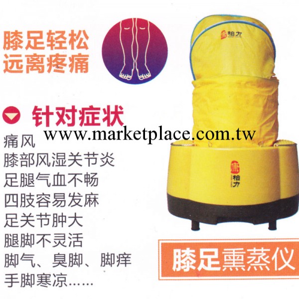 熏蒸盆 足浴升級熏蒸機 美腿保健養生蒸汽機 桑拿足浴設備包郵工廠,批發,進口,代購