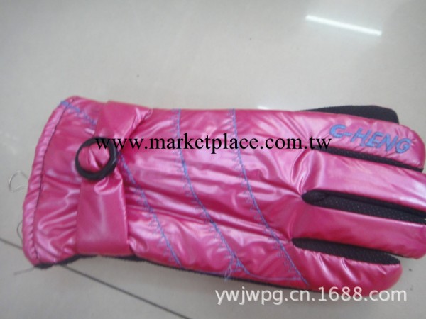 提供廠傢直銷的女士高品質的新款休閒女繡花手套。保暖手套工廠,批發,進口,代購