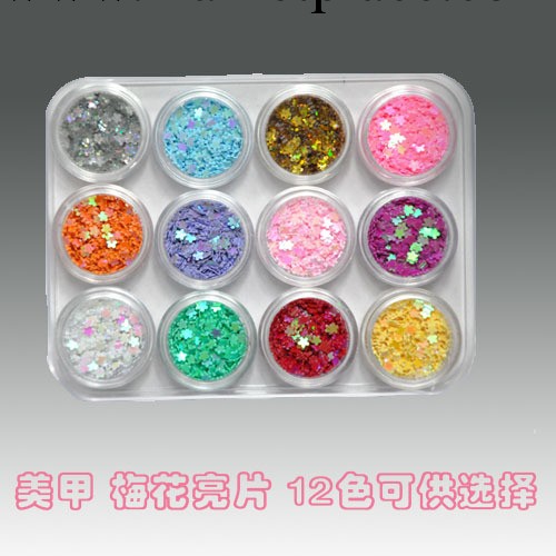 美甲飾品 指甲貼飾品套裝 鐳射閃diy 漸變光療梅花形亮片 批發工廠,批發,進口,代購