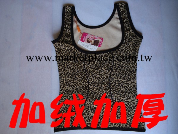 廠傢直銷女式豹紋托胸背心 性感 美體 時尚塑身 加絨加厚保暖內衣工廠,批發,進口,代購