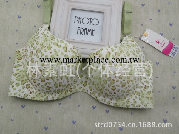正品專櫃黛雅婷588-4 一片式無痕內衣 後四排 無縫胸罩一件代發工廠,批發,進口,代購