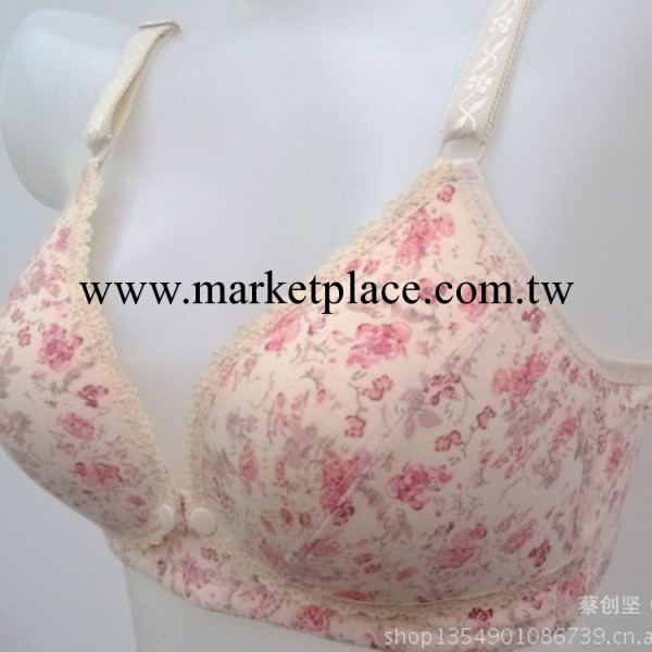 2013最新款式哺乳胸罩 定型哺乳 防止變形 818 碎花清新工廠,批發,進口,代購