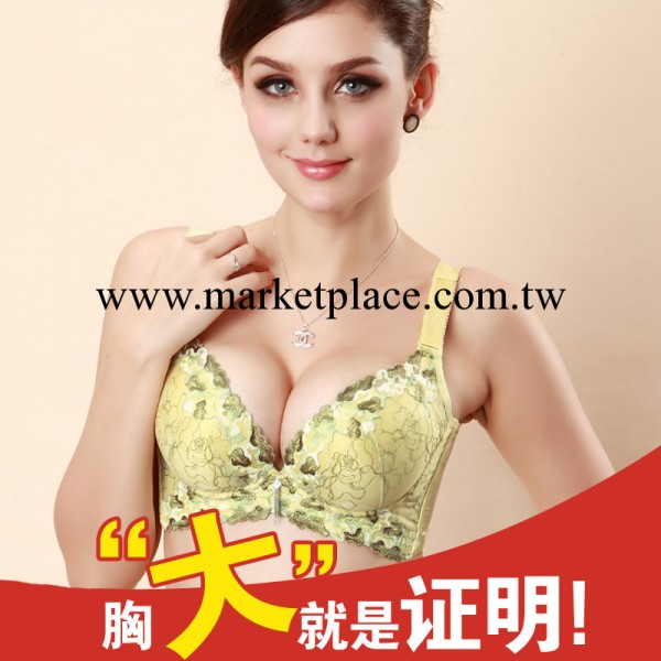 廠傢批發 2013秋冬女 負離子調整型胸罩聚攏 側收塑身內衣2039工廠,批發,進口,代購