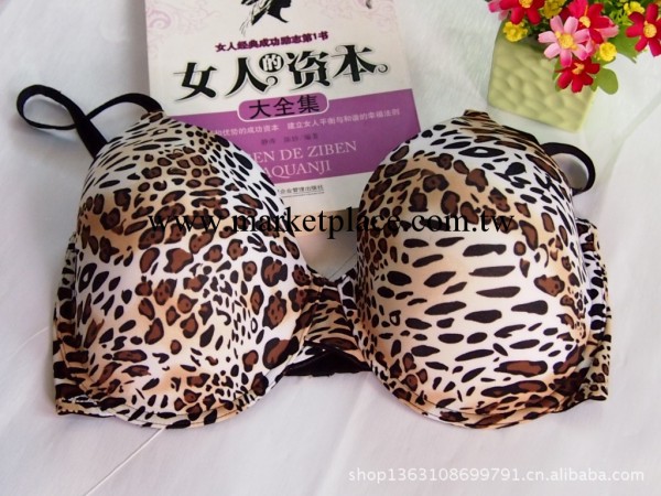 單件大碼胸罩批發 歐美原單maidenform/奢華高貴 品牌獨特設計工廠,批發,進口,代購