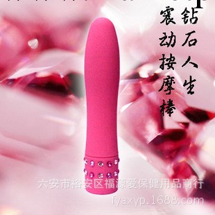 鉆石人生-震動按摩棒 女用G點後庭自慰器調情成人用品工廠,批發,進口,代購