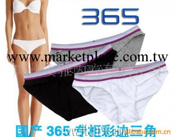 供應女士365彩根內褲,365彩根三角內褲,女內褲工廠,批發,進口,代購