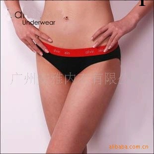 供應女士三角內褲內褲，女性三角內褲，4色供選工廠,批發,進口,代購