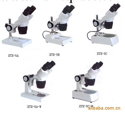 體視顯微鏡 小型顯微鏡工廠,批發,進口,代購