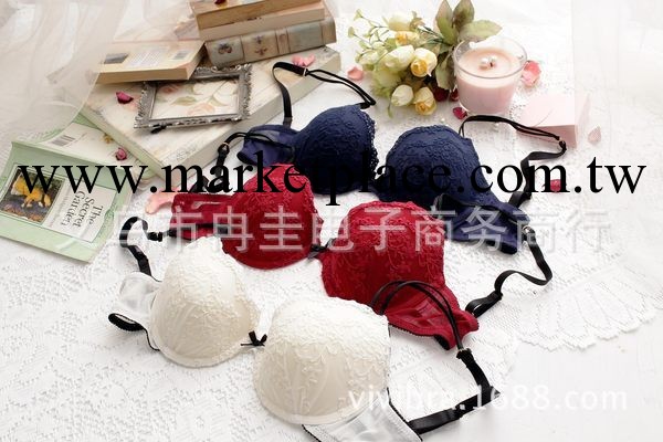 1916胸罩 時尚歐美三排扣帶插片女士內衣套裝 胸罩套裝 淘寶爆款工廠,批發,進口,代購