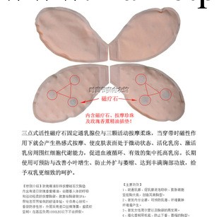 黛安芬胸罩玫瑰精油 磁療物理 柔珠按摩水袋 精油袋 插片單拍不賣工廠,批發,進口,代購