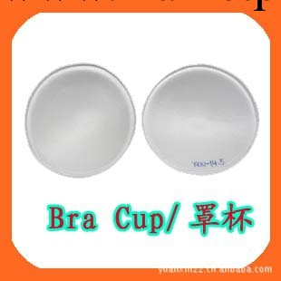 Bra Cup 泳衣罩杯 泳衣插片 圓形罩杯工廠,批發,進口,代購